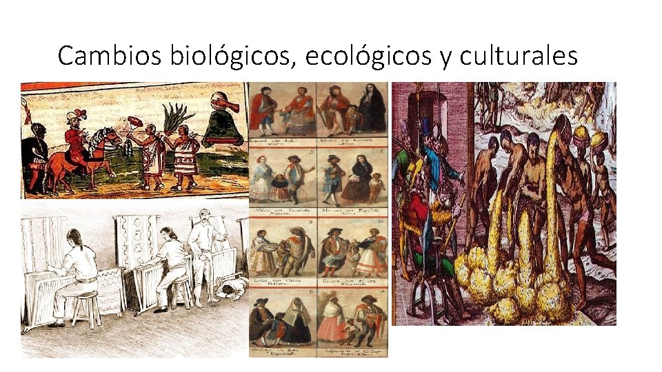 Cambios biológicos, ecológicos y culturales 