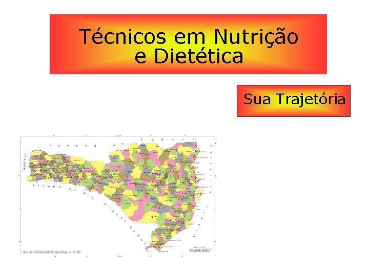 Técnicos em Nutrição e Dietética Sua Trajetória 