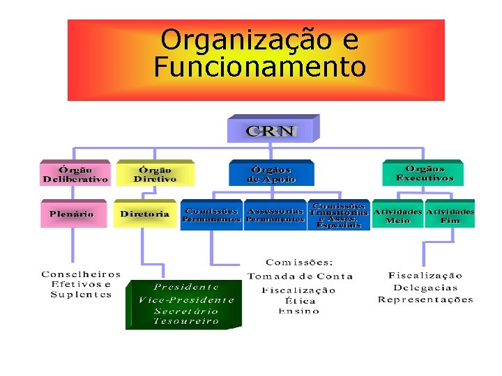 Organização e Funcionamento 