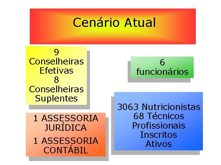 Cenário Atual 9 Conselheiras Efetivas 8 Conselheiras Suplentes 1 ASSESSORIA JURÍDICA 1 ASSESSORIA CONTÁBIL