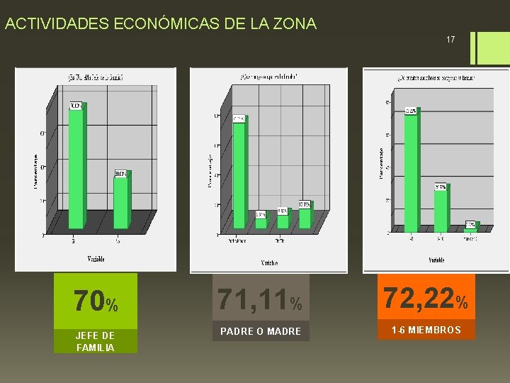 ACTIVIDADES ECONÓMICAS DE LA ZONA 17 70% 71, 11% 72, 22% JEFE DE FAMILIA