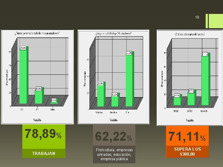 18 78, 89% TRABAJAN 62, 22% 71, 11% Floricultura, empresas privadas, educación, empresa pública