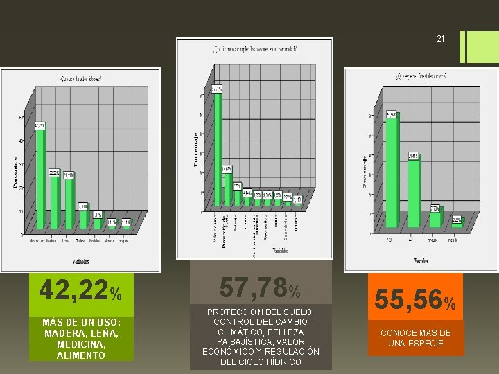 21 42, 22% 57, 78% MÁS DE UN USO: MADERA, LEÑA, MEDICINA, ALIMENTO PROTECCIÓN