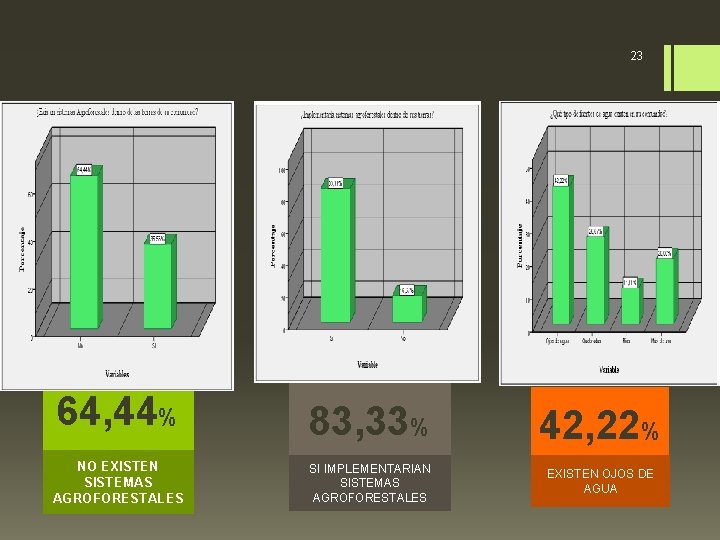 23 64, 44% NO EXISTEN SISTEMAS AGROFORESTALES 83, 33% 42, 22% SI IMPLEMENTARIAN SISTEMAS