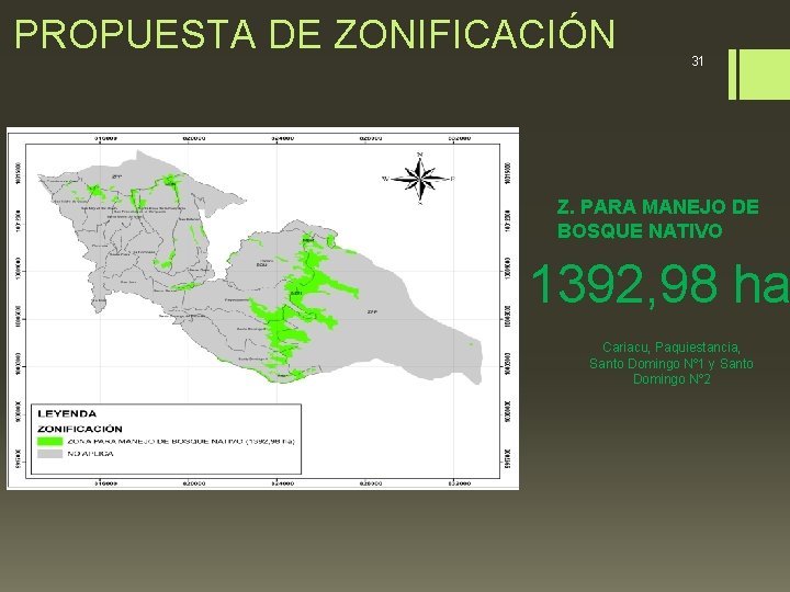 PROPUESTA DE ZONIFICACIÓN 31 Z. PARA MANEJO DE BOSQUE NATIVO 1392, 98 ha Cariacu,