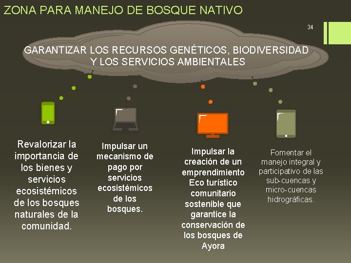 ZONA PARA MANEJO DE BOSQUE NATIVO 34 GARANTIZAR LOS RECURSOS GENÉTICOS, BIODIVERSIDAD Y LOS