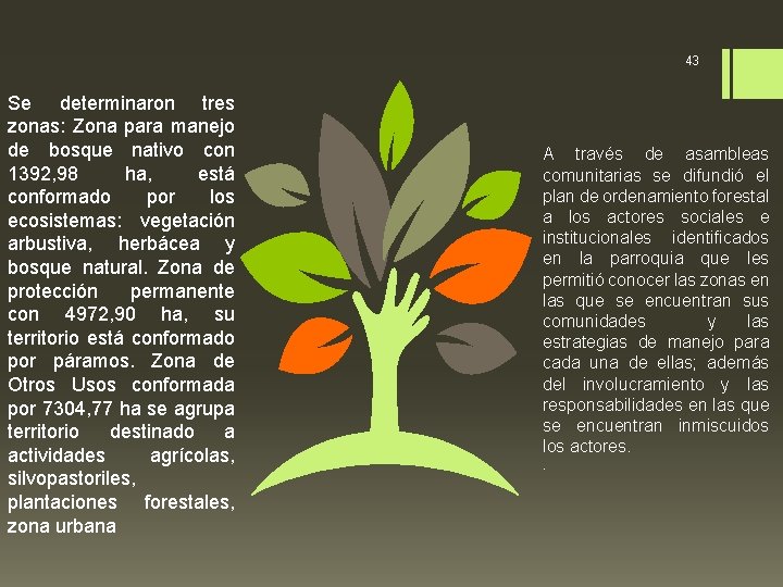 43 Se determinaron tres zonas: Zona para manejo de bosque nativo con 1392, 98