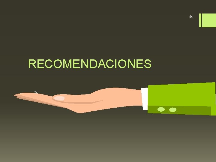 44 RECOMENDACIONES 