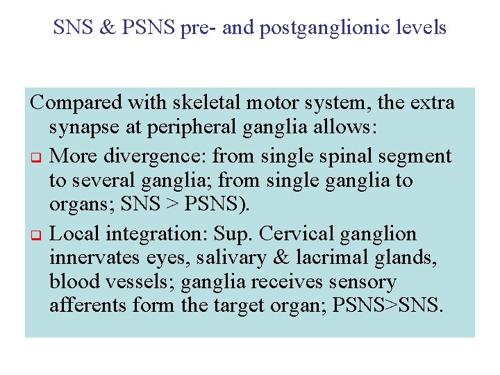 SNS & PSNS pre- and postganglionic levels Compared with skeletal motor system, the extra