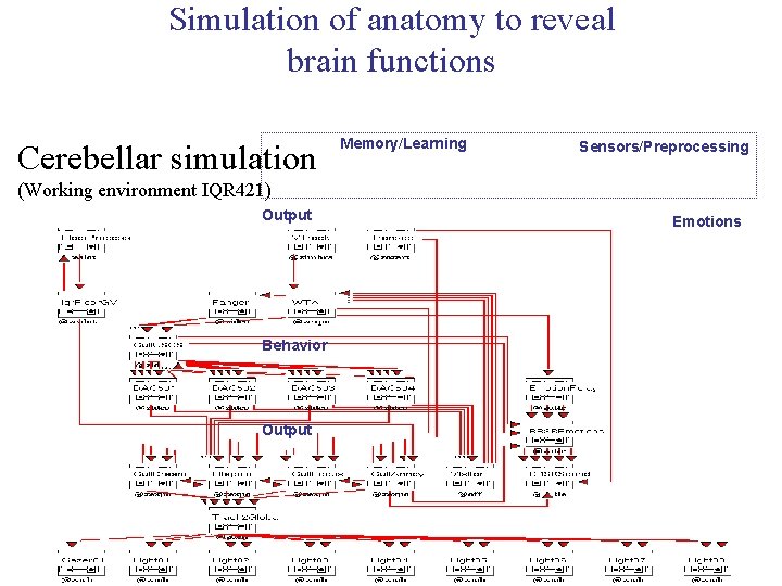 Simulation of anatomy to reveal brain functions Cerebellar simulation Memory/Learning Sensors/Preprocessing (Working environment IQR