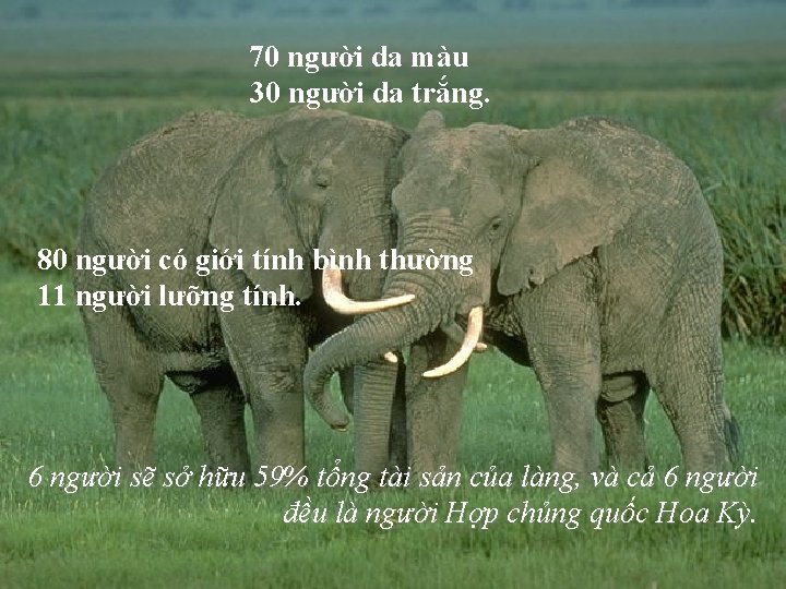 70 người da màu 30 người da trắng. 80 người có giới tính bình