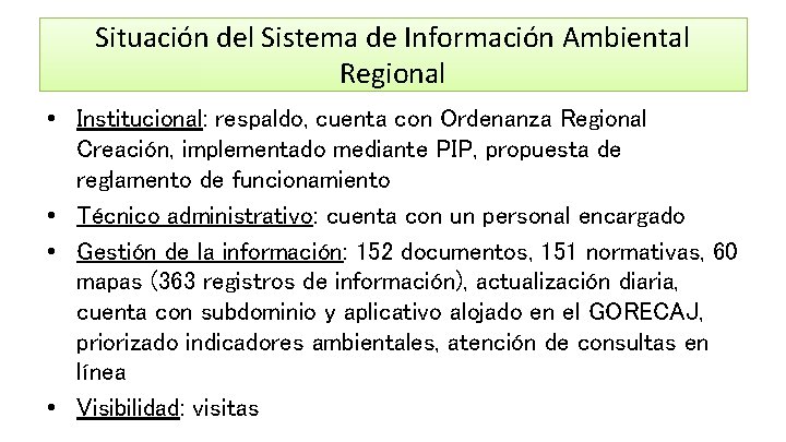 Situación del Sistema de Información Ambiental Regional • Institucional: respaldo, cuenta con Ordenanza Regional