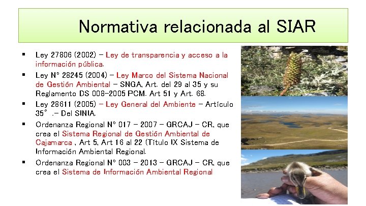 Normativa relacionada al SIAR § § § Ley 27806 (2002) - Ley de transparencia