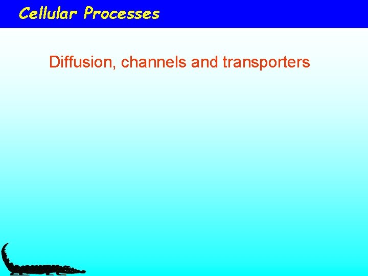 Cellular Processes Diffusion, channels and transporters 