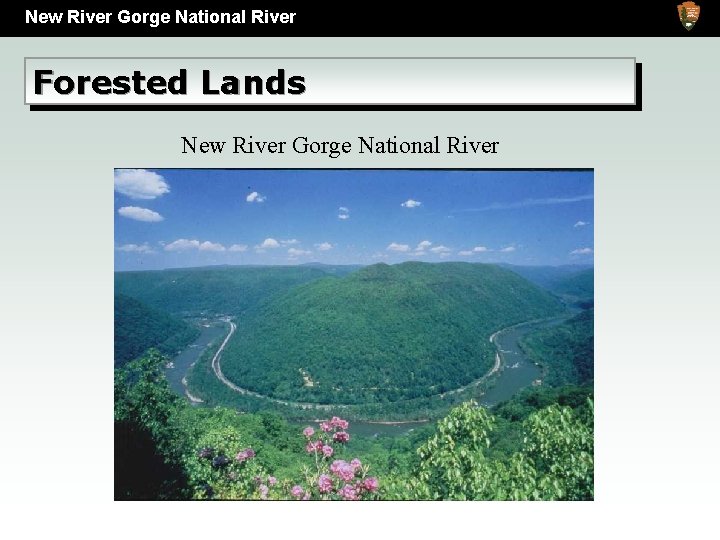 New River Gorge National River Forested Lands New River Gorge National River 