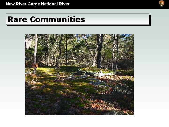 New River Gorge National River Rare Communities 