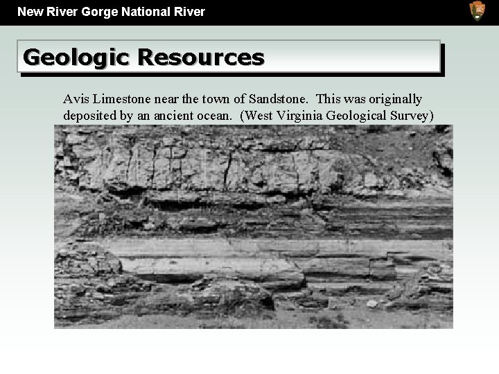 New River Gorge National River Geologic Resources Avis Limestone near the town of Sandstone.