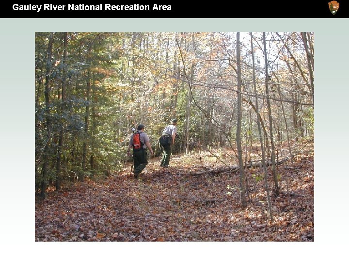 Gauley River National Recreation New River Gorge National River Area 