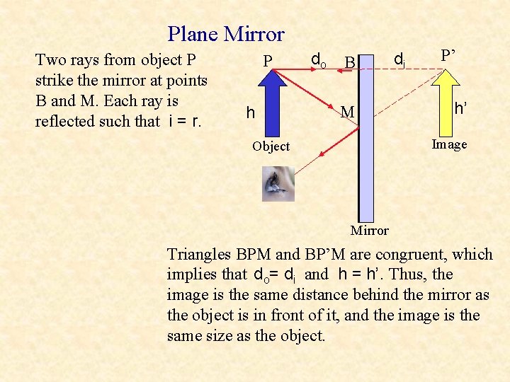 Plane Mirror Two rays from object P strike the mirror at points B and Plane Mirror Two rays from object P strike the mirror at points B and