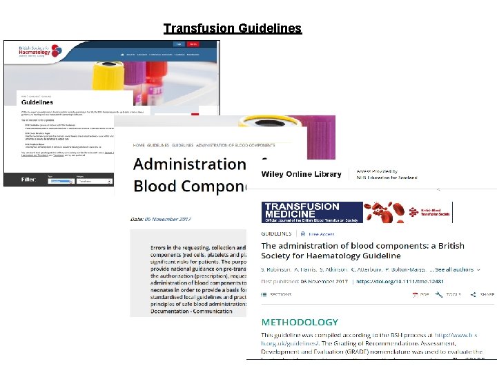 Transfusion Guidelines 