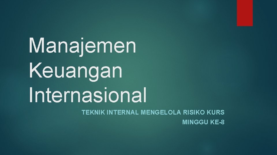 Manajemen Keuangan Internasional TEKNIK INTERNAL MENGELOLA RISIKO KURS MINGGU KE-8 