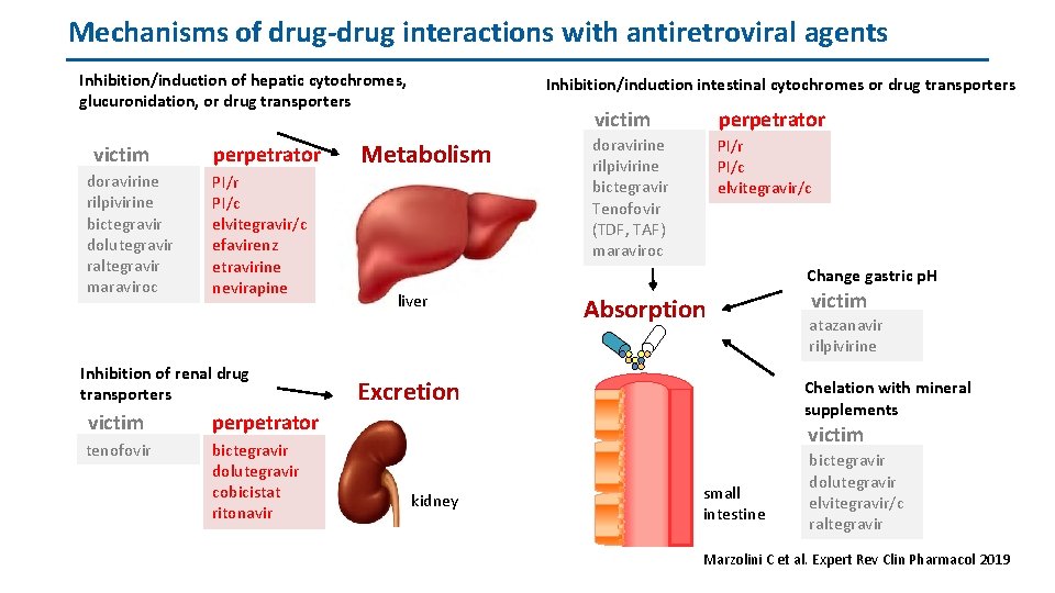 Mechanisms of drug-drug interactions with antiretroviral agents Inhibition/induction of hepatic cytochromes, glucuronidation, or drug