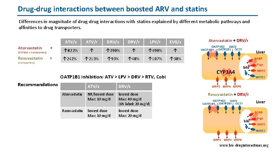 Drug-drug interactions between boosted ARV and statins Differences in magnitude of drug-drug interactions with