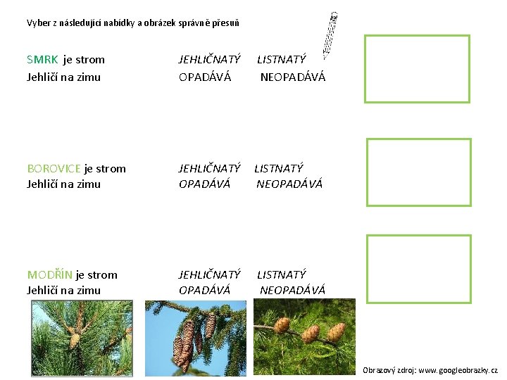 Vyber z následující nabídky a obrázek správně přesuň SMRK je strom Jehličí na zimu