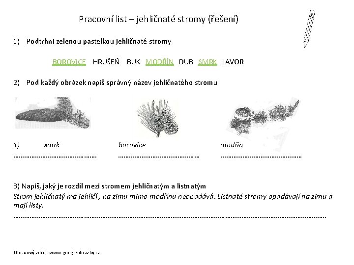 Pracovní list – jehličnaté stromy (řešení) 1) Podtrhni zelenou pastelkou jehličnaté stromy BOROVICE HRUŠEŇ