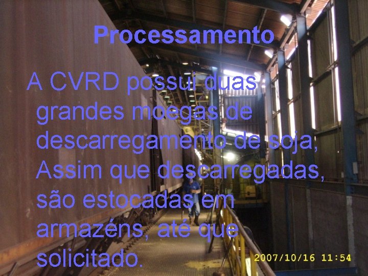 Processamento A CVRD possui duas grandes moegas de descarregamento de soja, Assim que descarregadas,