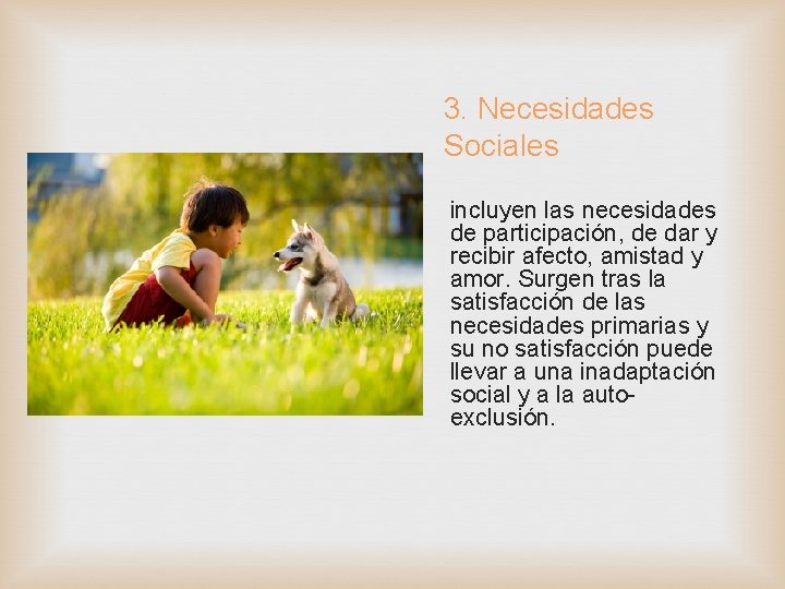 3. Necesidades Sociales incluyen las necesidades de participación, de dar y recibir afecto, amistad