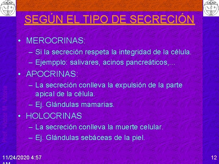 SEGÚN EL TIPO DE SECRECIÓN • MEROCRINAS: – Si la secreción respeta la integridad