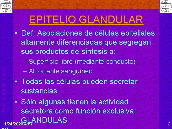 EPITELIO GLANDULAR Prof. Víctor M. Vitoria • Def. Asociaciones de células epiteliales altamente diferenciadas