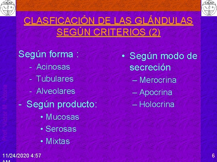 CLASFICACIÓN DE LAS GLÁNDULAS SEGÚN CRITERIOS (2) Prof. Víctor M. Vitoria Según forma :