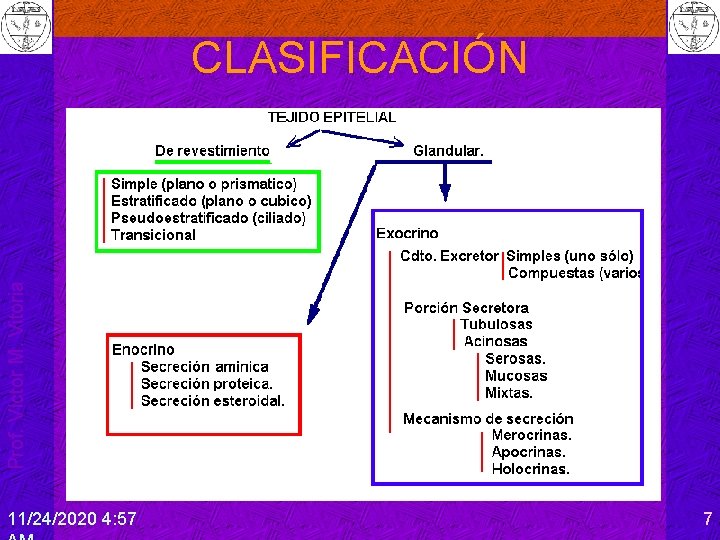 Prof. Víctor M. Vitoria CLASIFICACIÓN 11/24/2020 4: 57 7 