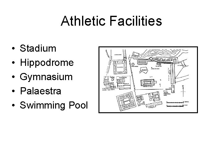 Athletic Facilities • • • Stadium Hippodrome Gymnasium Palaestra Swimming Pool 