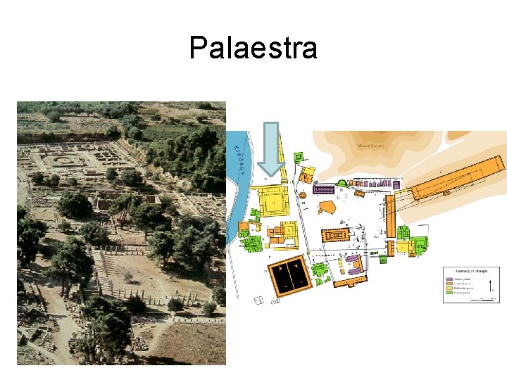 Palaestra 