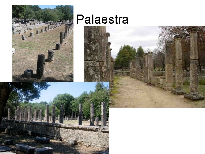 Palaestra 