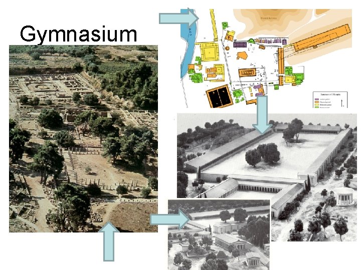 Gymnasium 