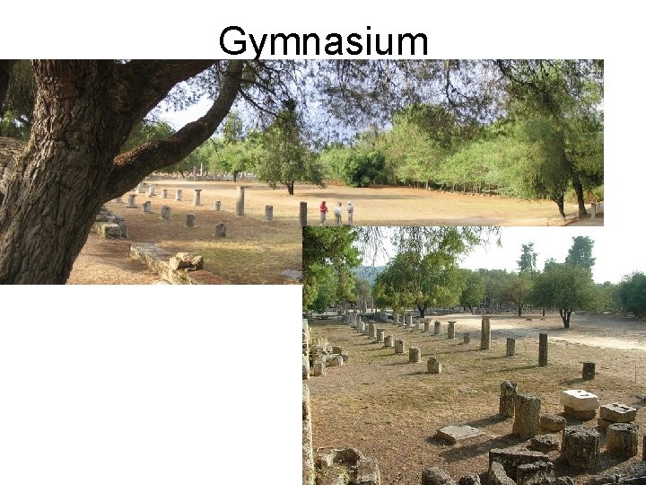 Gymnasium 