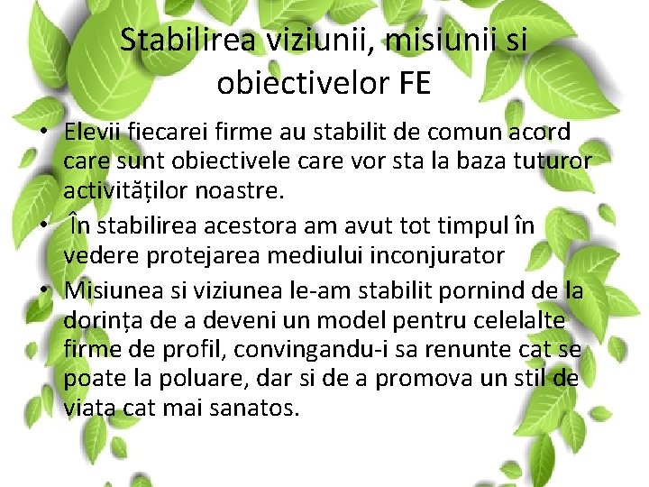 Stabilirea viziunii, misiunii si obiectivelor FE • Elevii fiecarei firme au stabilit de comun