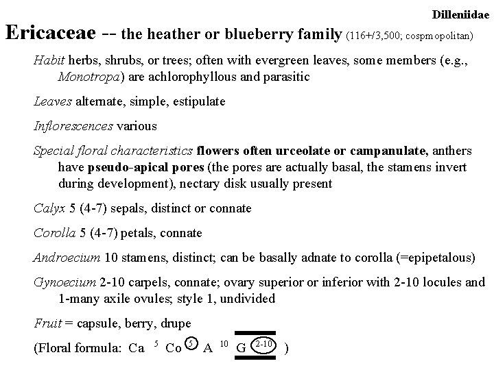 Dilleniidae Ericaceae -- the heather or blueberry family (116+/3, 500; cospmopolitan) Habit herbs, shrubs,