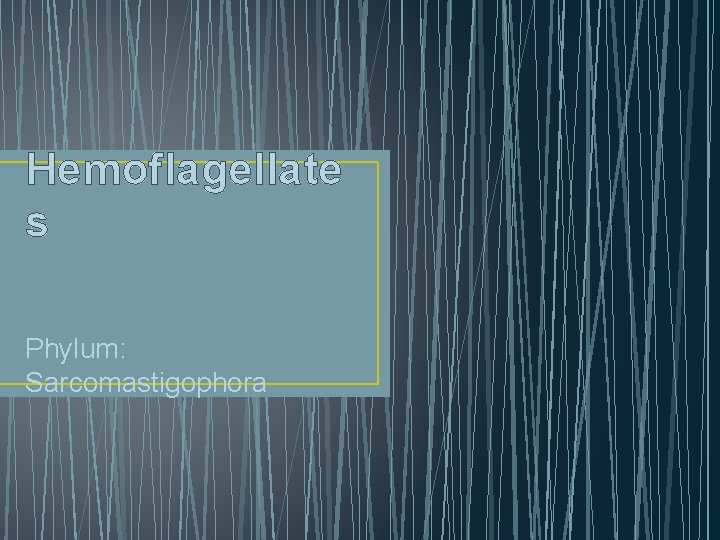 Hemoflagellate s Phylum: Sarcomastigophora 