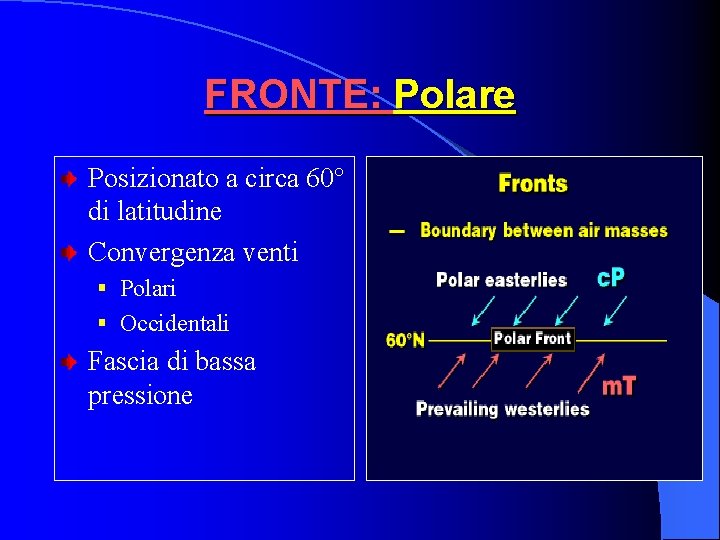 FRONTE: Polare Posizionato a circa 60° di latitudine Convergenza venti § Polari § Occidentali FRONTE: Polare Posizionato a circa 60° di latitudine Convergenza venti § Polari § Occidentali