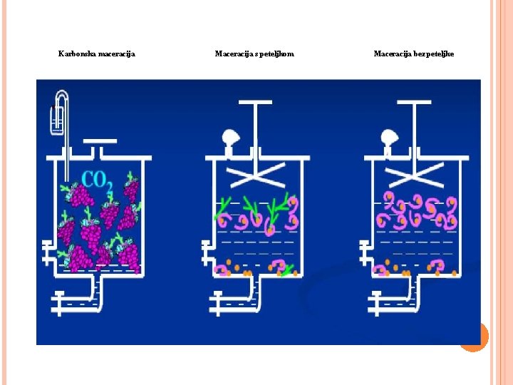 Karbonska maceracija Maceracija s peteljkom Maceracija bez peteljke 