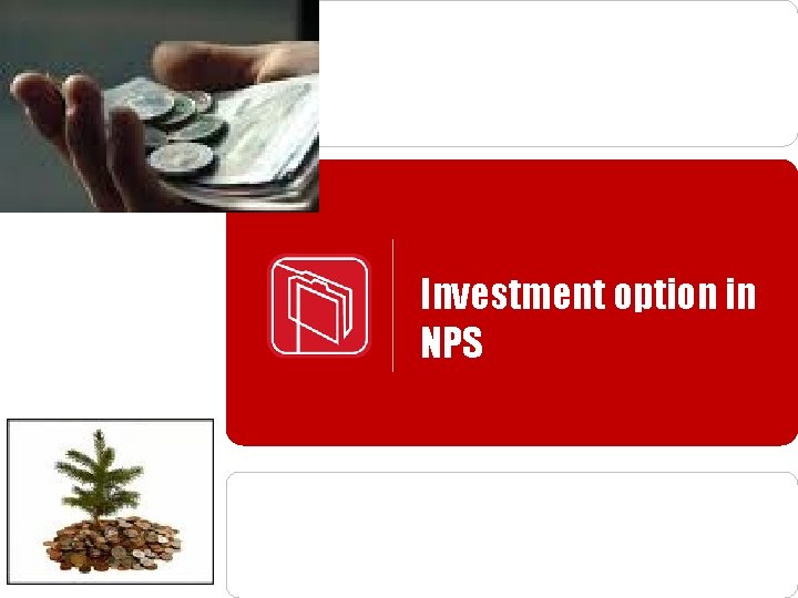 Investment option in NPS 