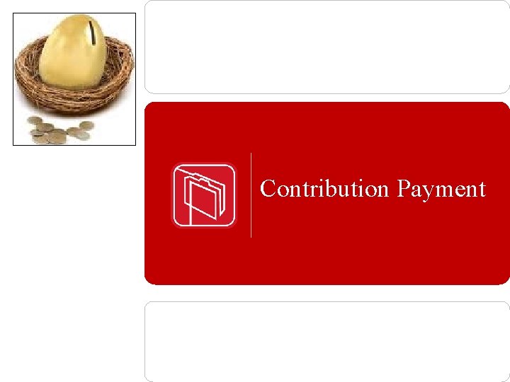 Contribution Payment 