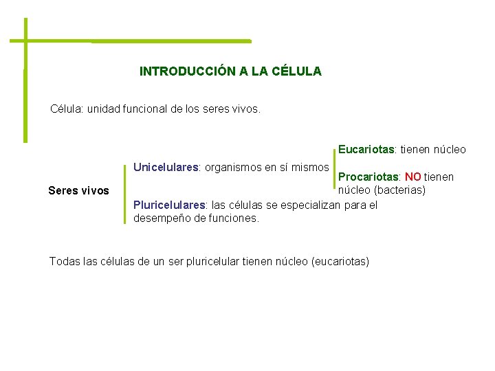 INTRODUCCIÓN A LA CÉLULA Célula: unidad funcional de los seres vivos. Eucariotas: tienen núcleo