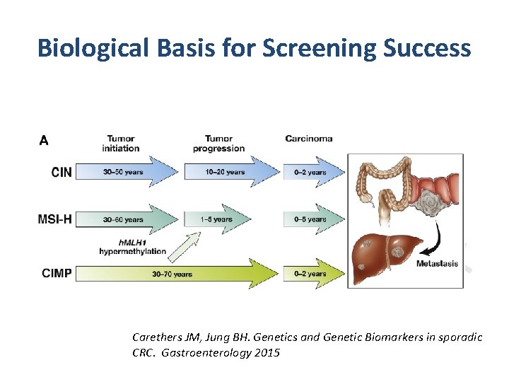 Biological Basis for Screening Success Carethers JM, Jung BH. Genetics and Genetic Biomarkers in Biological Basis for Screening Success Carethers JM, Jung BH. Genetics and Genetic Biomarkers in