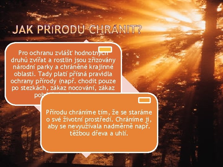 Pro ochranu zvlášť hodnotných druhů zvířat a rostlin jsou zřizovány národní parky a chráněné